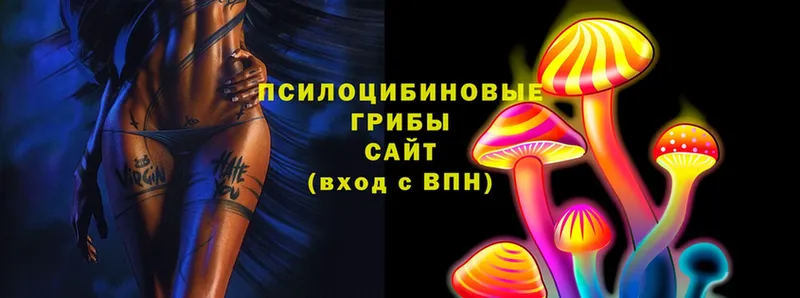 Галлюциногенные грибы Psilocybe  где продают наркотики  Серпухов 